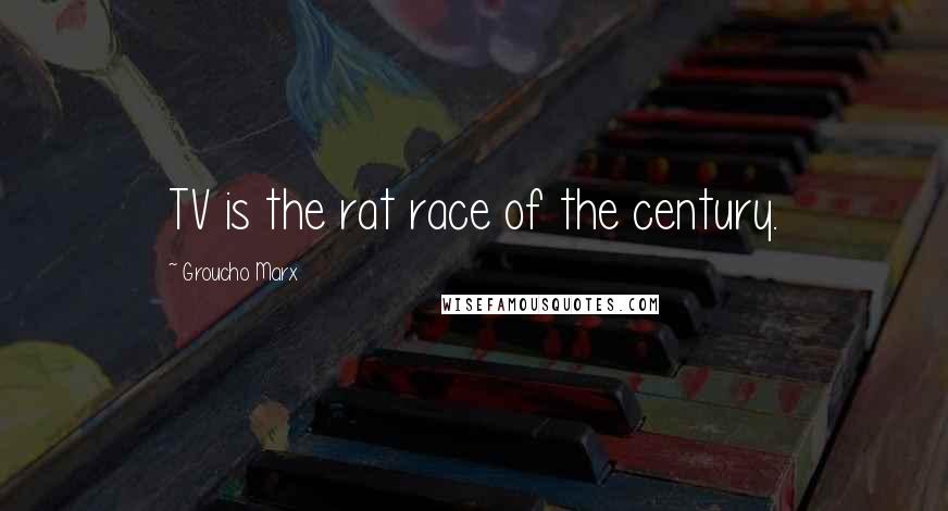 Groucho Marx Quotes: TV is the rat race of the century.