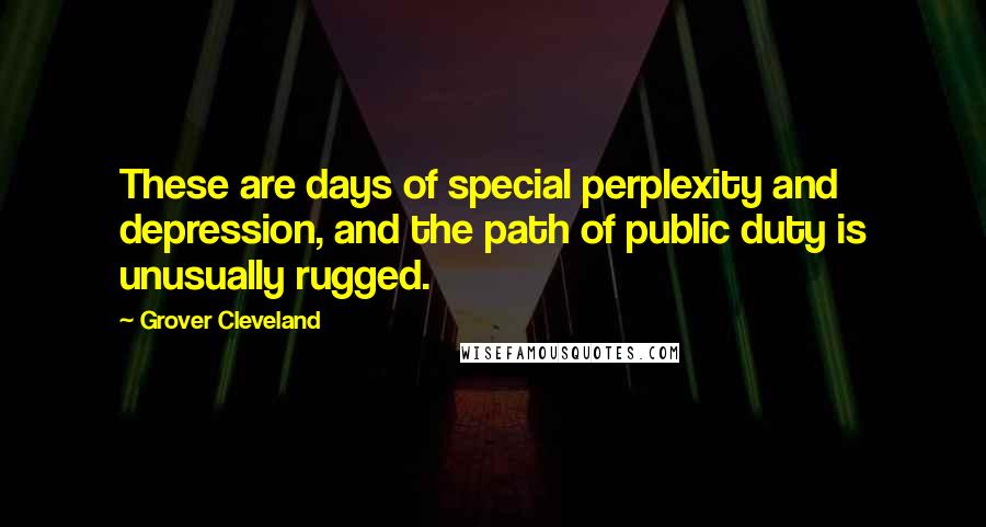 Grover Cleveland Quotes: These are days of special perplexity and depression, and the path of public duty is unusually rugged.