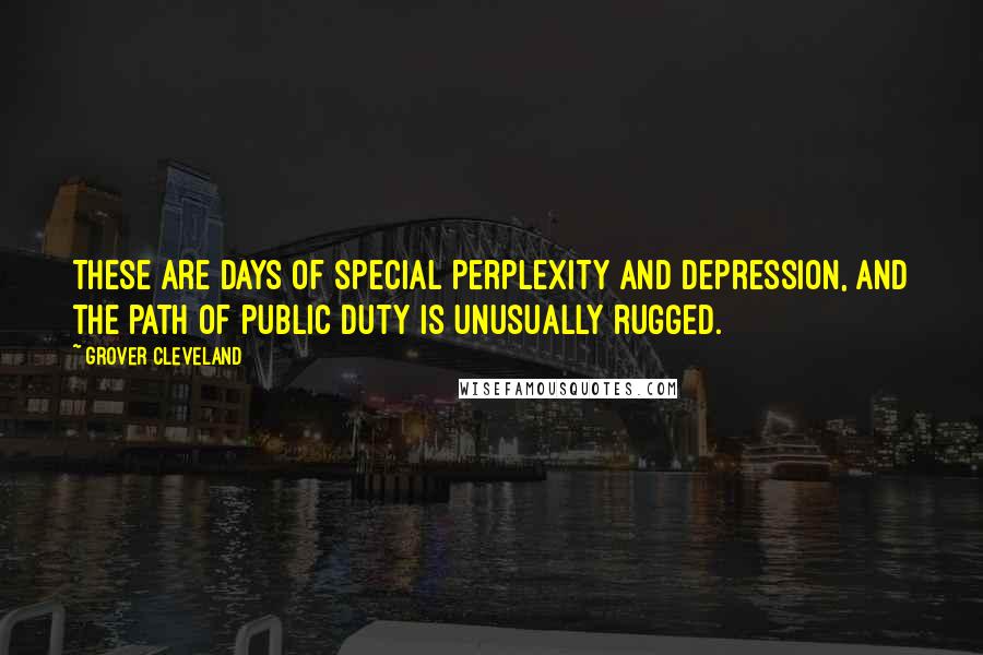 Grover Cleveland Quotes: These are days of special perplexity and depression, and the path of public duty is unusually rugged.