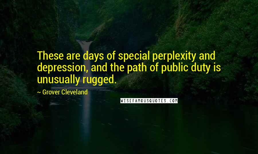 Grover Cleveland Quotes: These are days of special perplexity and depression, and the path of public duty is unusually rugged.