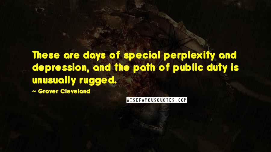 Grover Cleveland Quotes: These are days of special perplexity and depression, and the path of public duty is unusually rugged.