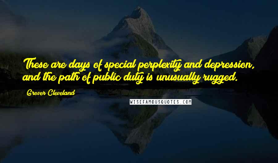 Grover Cleveland Quotes: These are days of special perplexity and depression, and the path of public duty is unusually rugged.