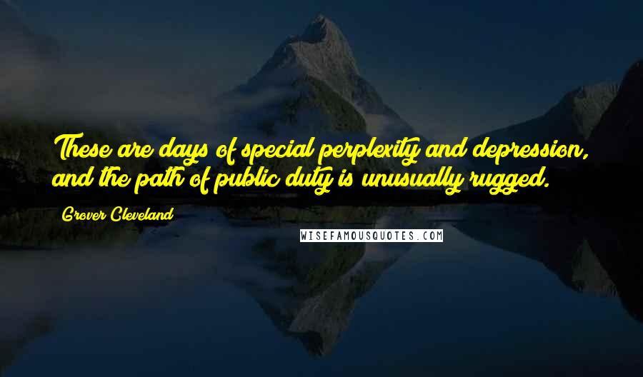 Grover Cleveland Quotes: These are days of special perplexity and depression, and the path of public duty is unusually rugged.