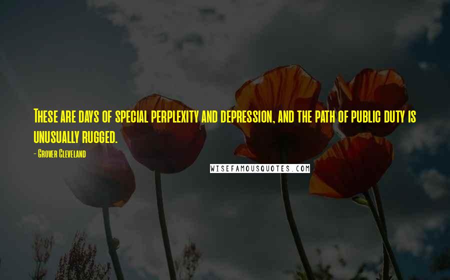 Grover Cleveland Quotes: These are days of special perplexity and depression, and the path of public duty is unusually rugged.