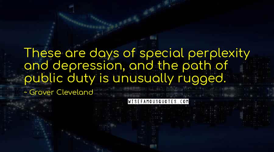 Grover Cleveland Quotes: These are days of special perplexity and depression, and the path of public duty is unusually rugged.