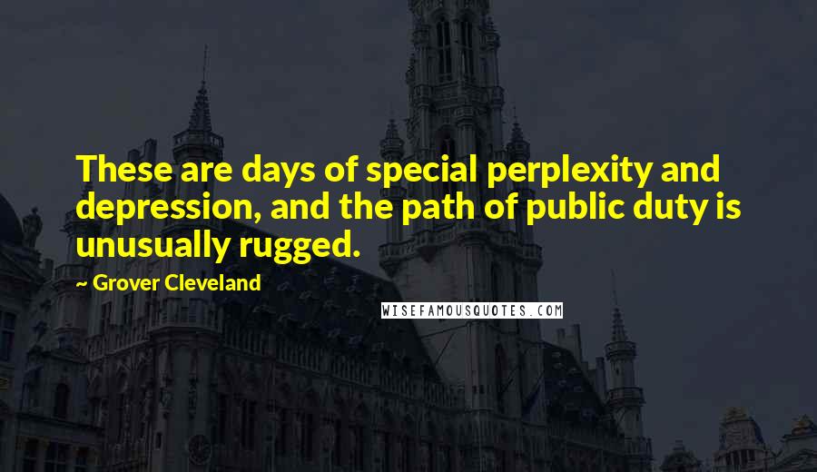 Grover Cleveland Quotes: These are days of special perplexity and depression, and the path of public duty is unusually rugged.