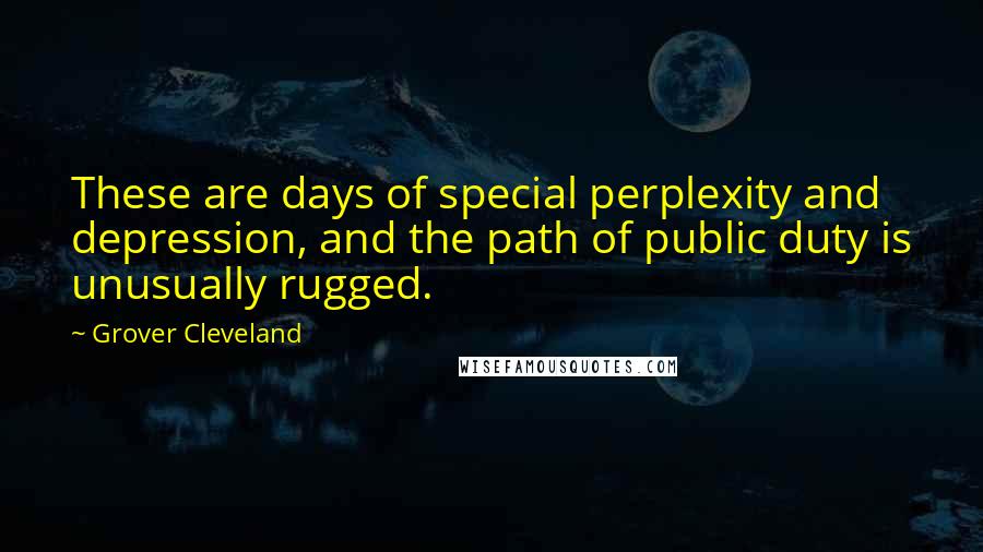 Grover Cleveland Quotes: These are days of special perplexity and depression, and the path of public duty is unusually rugged.