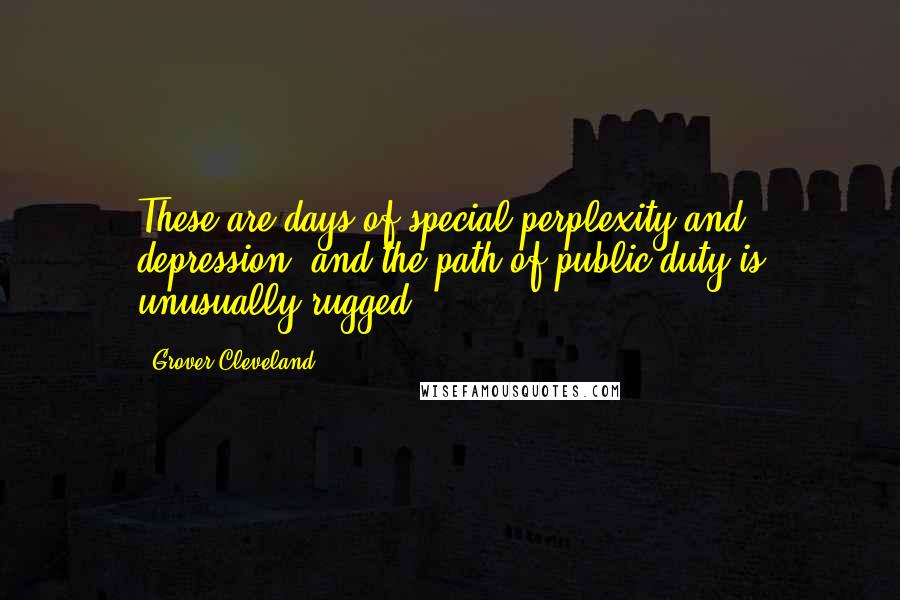 Grover Cleveland Quotes: These are days of special perplexity and depression, and the path of public duty is unusually rugged.