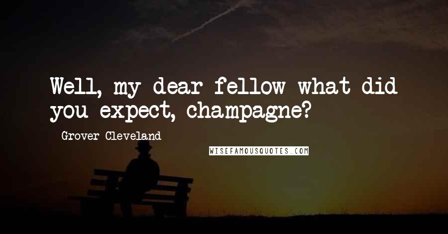 Grover Cleveland Quotes: Well, my dear fellow what did you expect, champagne?