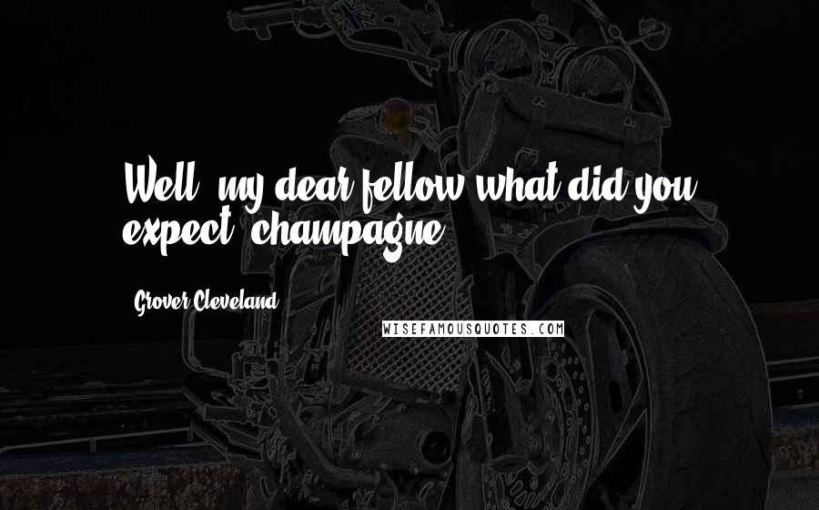 Grover Cleveland Quotes: Well, my dear fellow what did you expect, champagne?