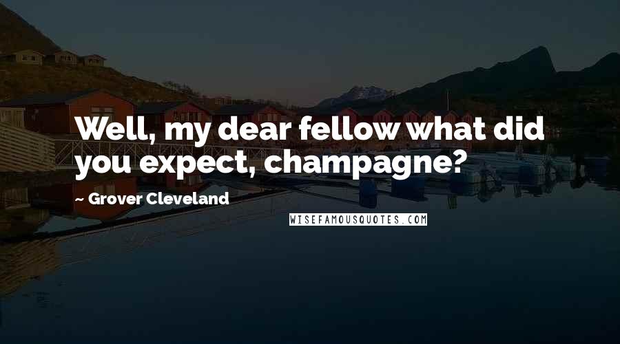 Grover Cleveland Quotes: Well, my dear fellow what did you expect, champagne?