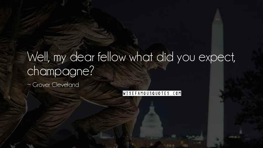 Grover Cleveland Quotes: Well, my dear fellow what did you expect, champagne?