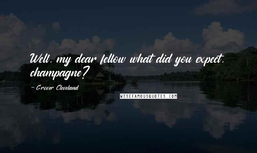 Grover Cleveland Quotes: Well, my dear fellow what did you expect, champagne?