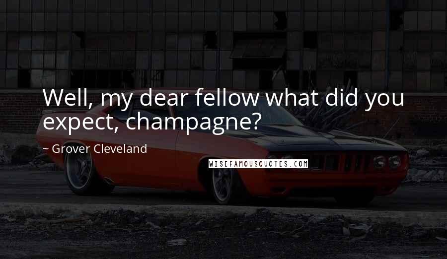 Grover Cleveland Quotes: Well, my dear fellow what did you expect, champagne?