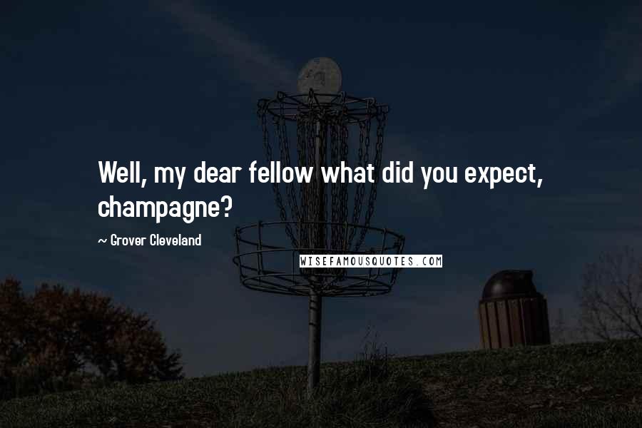 Grover Cleveland Quotes: Well, my dear fellow what did you expect, champagne?