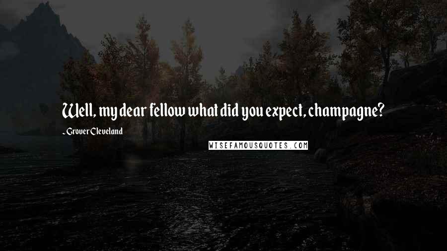 Grover Cleveland Quotes: Well, my dear fellow what did you expect, champagne?