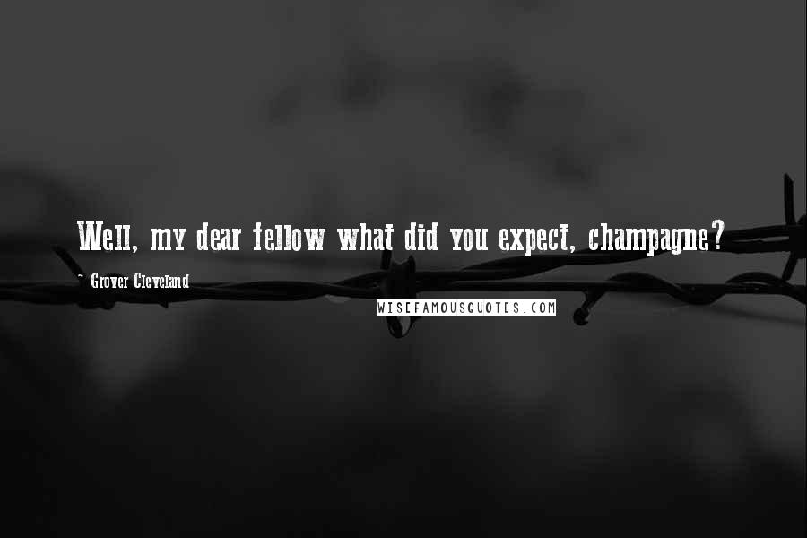 Grover Cleveland Quotes: Well, my dear fellow what did you expect, champagne?