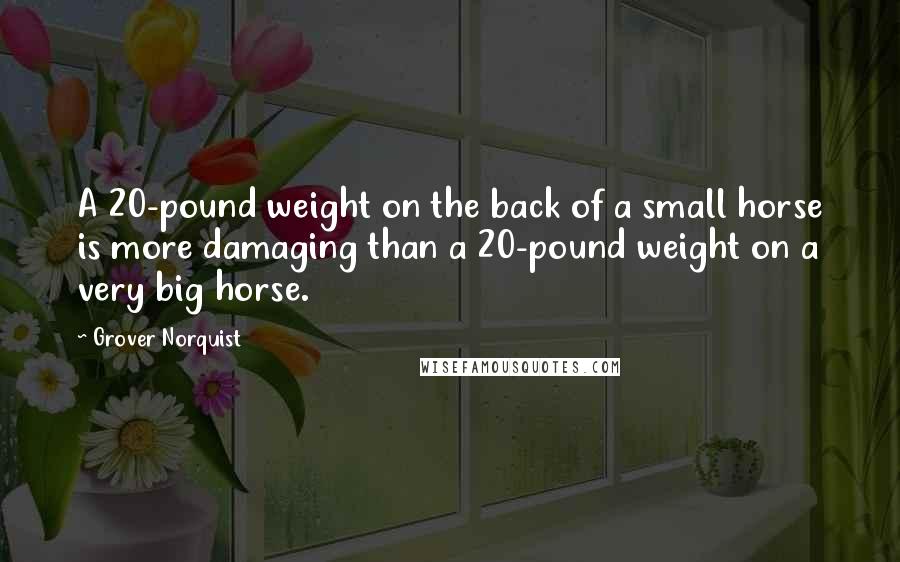 Grover Norquist Quotes: A 20-pound weight on the back of a small horse is more damaging than a 20-pound weight on a very big horse.