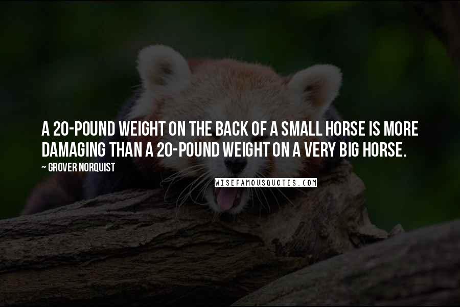 Grover Norquist Quotes: A 20-pound weight on the back of a small horse is more damaging than a 20-pound weight on a very big horse.