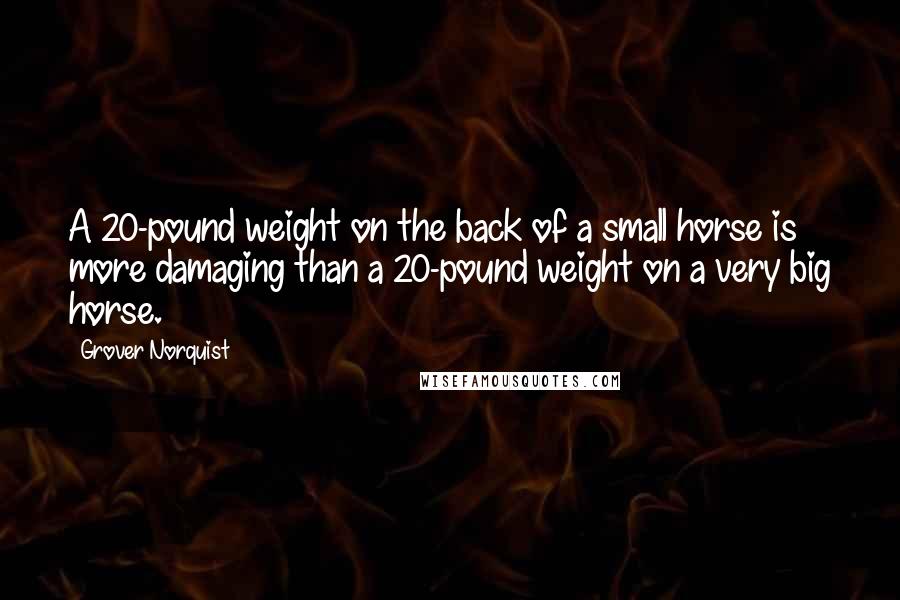 Grover Norquist Quotes: A 20-pound weight on the back of a small horse is more damaging than a 20-pound weight on a very big horse.