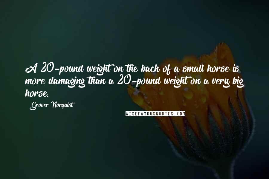 Grover Norquist Quotes: A 20-pound weight on the back of a small horse is more damaging than a 20-pound weight on a very big horse.