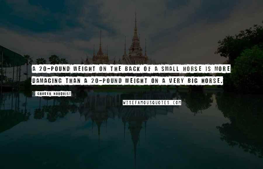 Grover Norquist Quotes: A 20-pound weight on the back of a small horse is more damaging than a 20-pound weight on a very big horse.