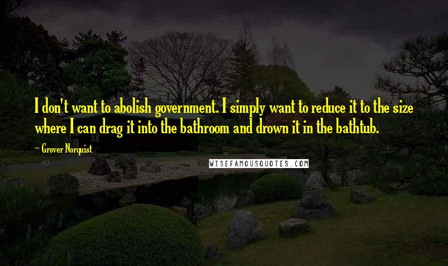 Grover Norquist Quotes: I don't want to abolish government. I simply want to reduce it to the size where I can drag it into the bathroom and drown it in the bathtub.