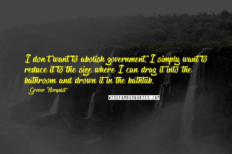 Grover Norquist Quotes: I don't want to abolish government. I simply want to reduce it to the size where I can drag it into the bathroom and drown it in the bathtub.