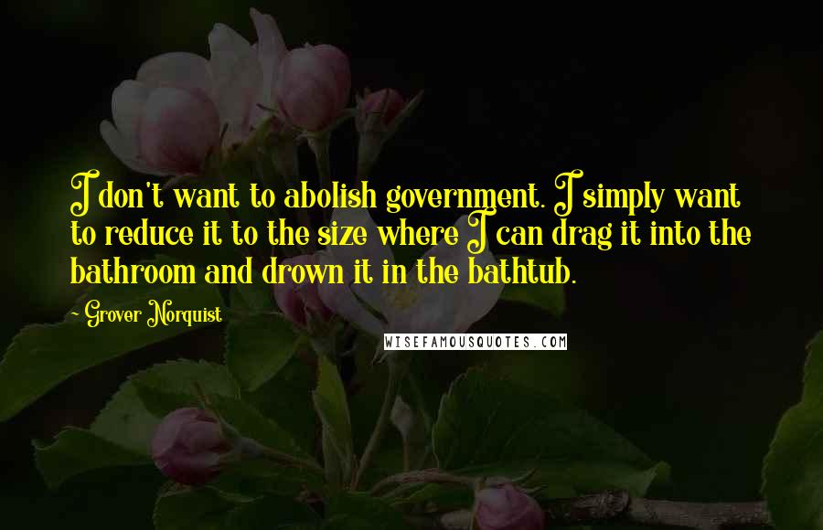 Grover Norquist Quotes: I don't want to abolish government. I simply want to reduce it to the size where I can drag it into the bathroom and drown it in the bathtub.