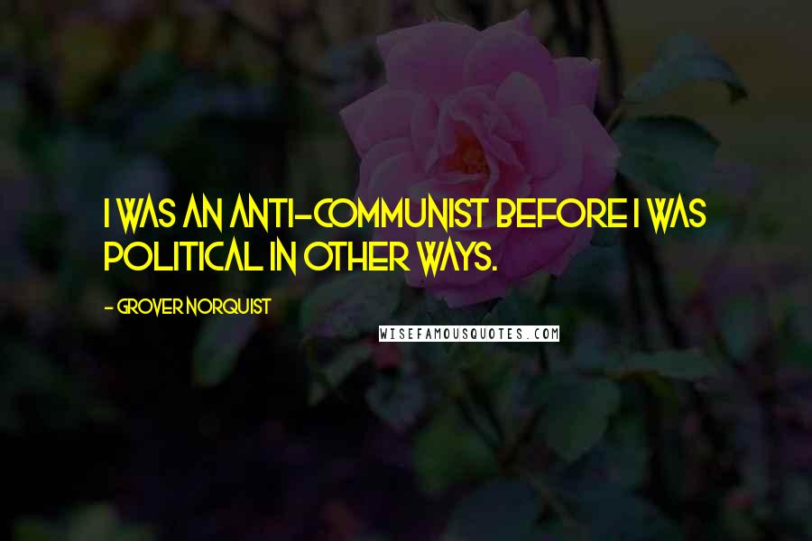 Grover Norquist Quotes: I was an anti-communist before I was political in other ways.