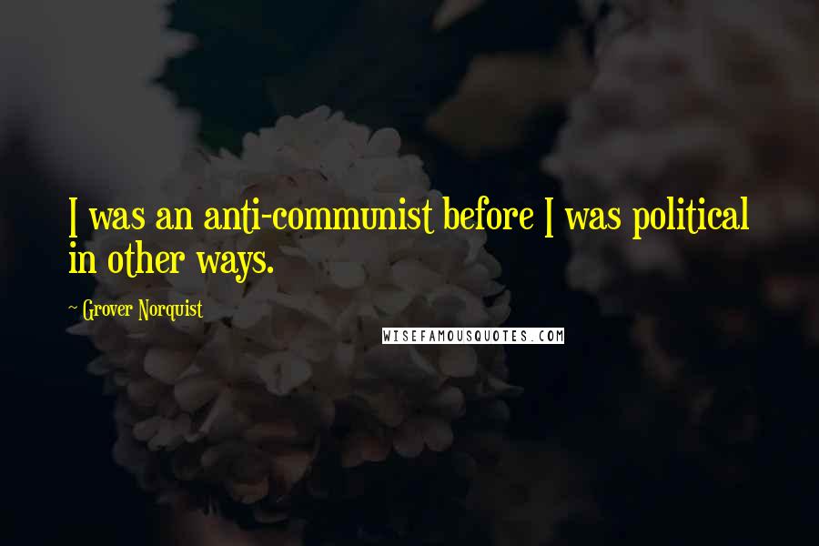 Grover Norquist Quotes: I was an anti-communist before I was political in other ways.