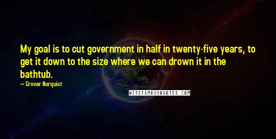 Grover Norquist Quotes: My goal is to cut government in half in twenty-five years, to get it down to the size where we can drown it in the bathtub.