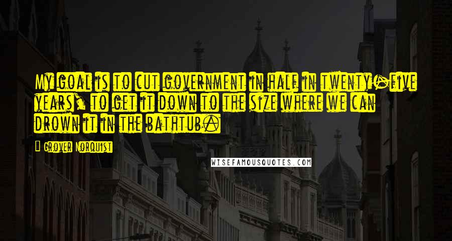 Grover Norquist Quotes: My goal is to cut government in half in twenty-five years, to get it down to the size where we can drown it in the bathtub.