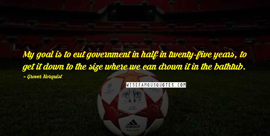 Grover Norquist Quotes: My goal is to cut government in half in twenty-five years, to get it down to the size where we can drown it in the bathtub.