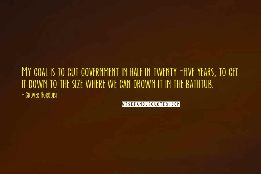 Grover Norquist Quotes: My goal is to cut government in half in twenty-five years, to get it down to the size where we can drown it in the bathtub.