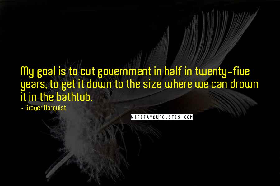 Grover Norquist Quotes: My goal is to cut government in half in twenty-five years, to get it down to the size where we can drown it in the bathtub.