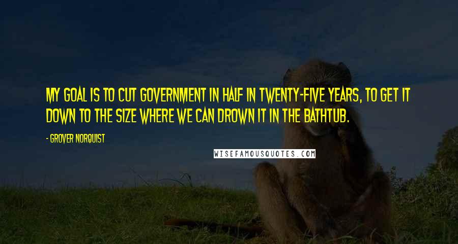 Grover Norquist Quotes: My goal is to cut government in half in twenty-five years, to get it down to the size where we can drown it in the bathtub.