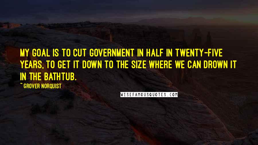 Grover Norquist Quotes: My goal is to cut government in half in twenty-five years, to get it down to the size where we can drown it in the bathtub.