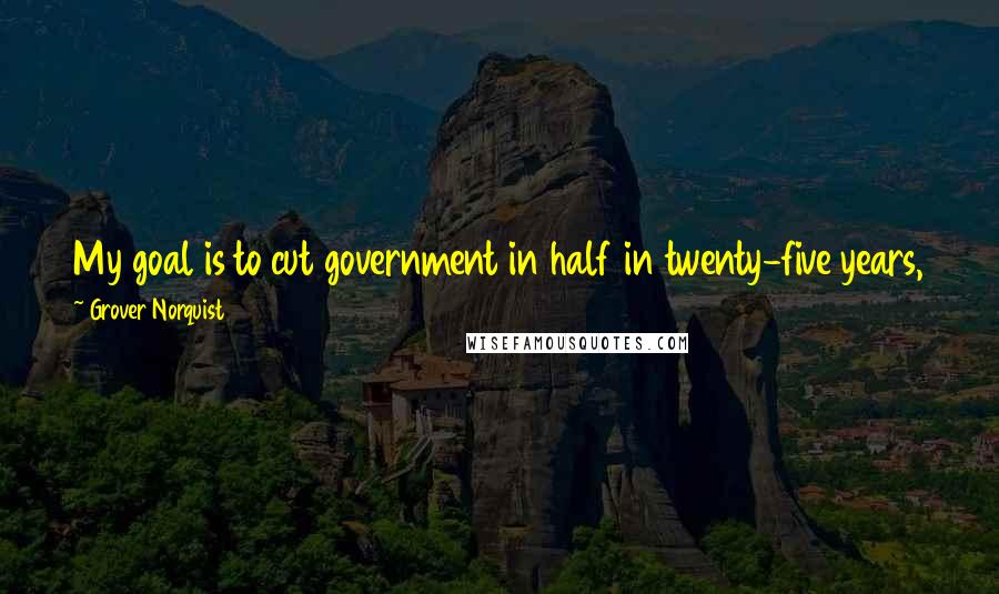 Grover Norquist Quotes: My goal is to cut government in half in twenty-five years, to get it down to the size where we can drown it in the bathtub.