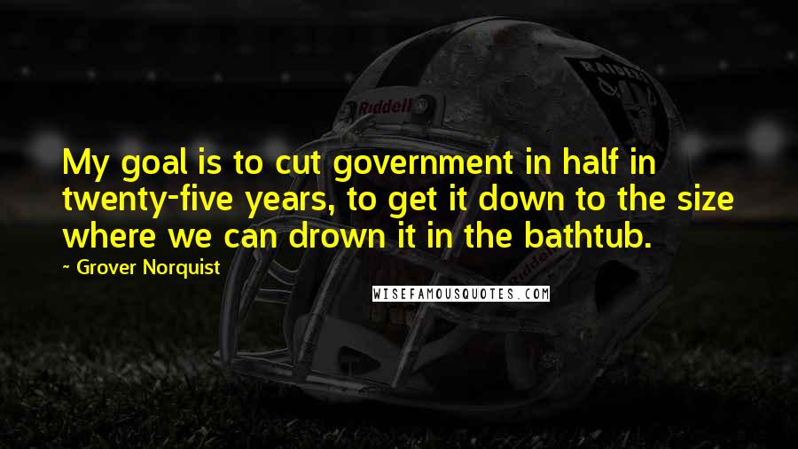 Grover Norquist Quotes: My goal is to cut government in half in twenty-five years, to get it down to the size where we can drown it in the bathtub.