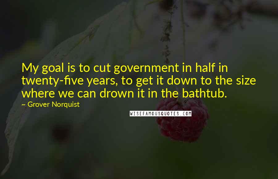 Grover Norquist Quotes: My goal is to cut government in half in twenty-five years, to get it down to the size where we can drown it in the bathtub.