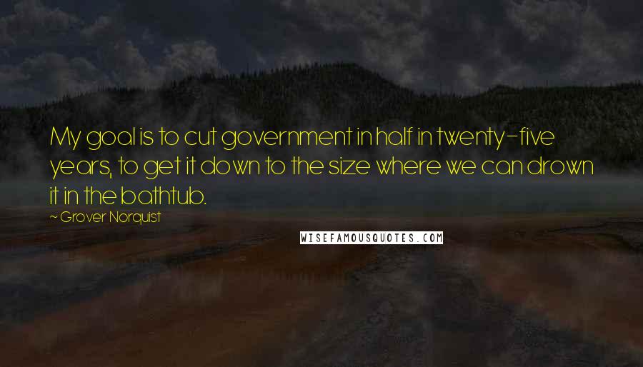 Grover Norquist Quotes: My goal is to cut government in half in twenty-five years, to get it down to the size where we can drown it in the bathtub.