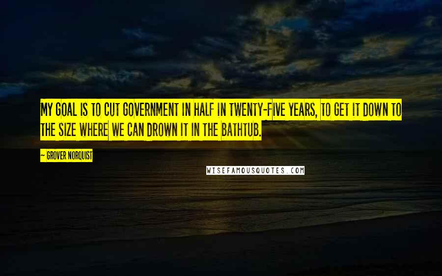 Grover Norquist Quotes: My goal is to cut government in half in twenty-five years, to get it down to the size where we can drown it in the bathtub.