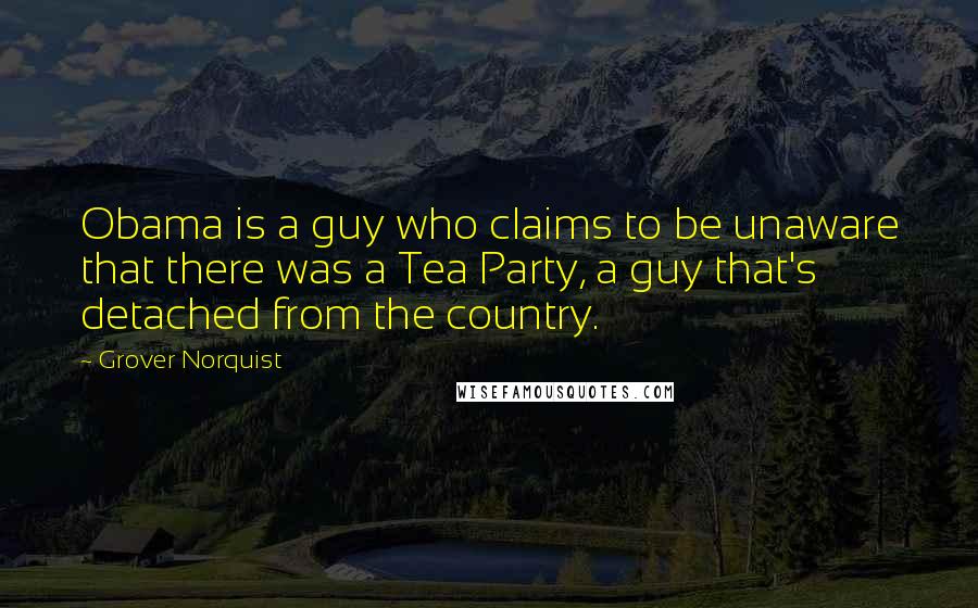 Grover Norquist Quotes: Obama is a guy who claims to be unaware that there was a Tea Party, a guy that's detached from the country.