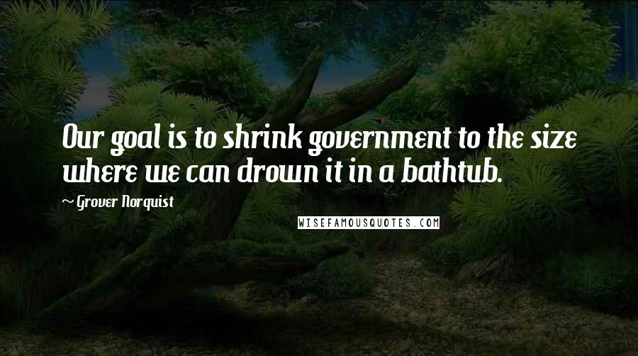 Grover Norquist Quotes: Our goal is to shrink government to the size where we can drown it in a bathtub.