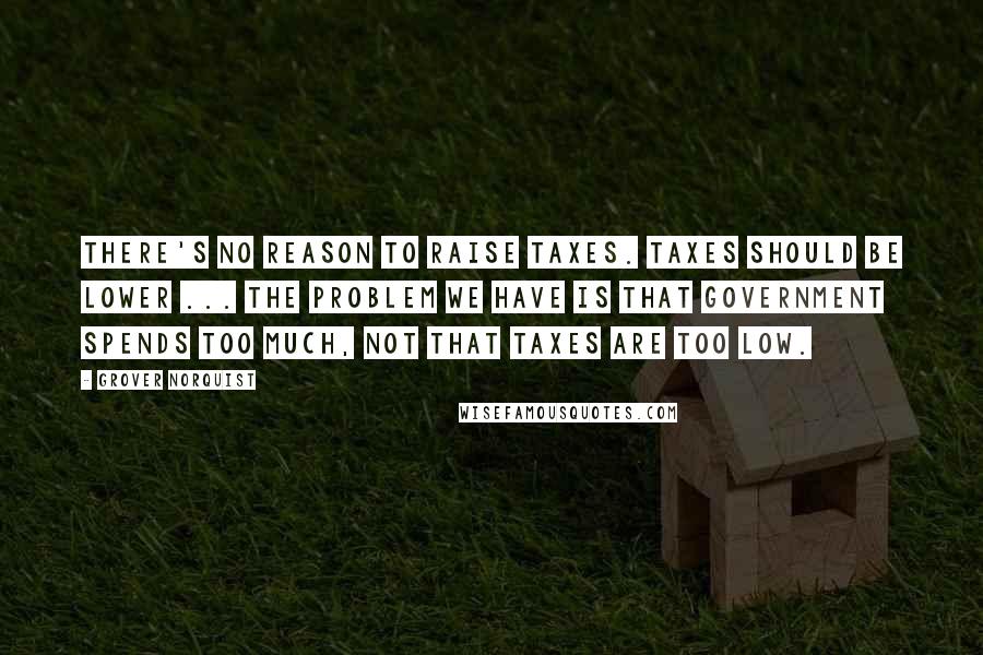 Grover Norquist Quotes: There's no reason to raise taxes. Taxes should be lower ... The problem we have is that government spends too much, not that taxes are too low.
