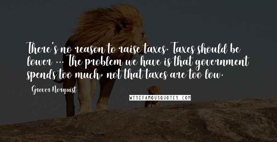 Grover Norquist Quotes: There's no reason to raise taxes. Taxes should be lower ... The problem we have is that government spends too much, not that taxes are too low.