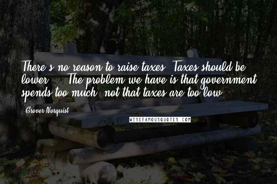 Grover Norquist Quotes: There's no reason to raise taxes. Taxes should be lower ... The problem we have is that government spends too much, not that taxes are too low.