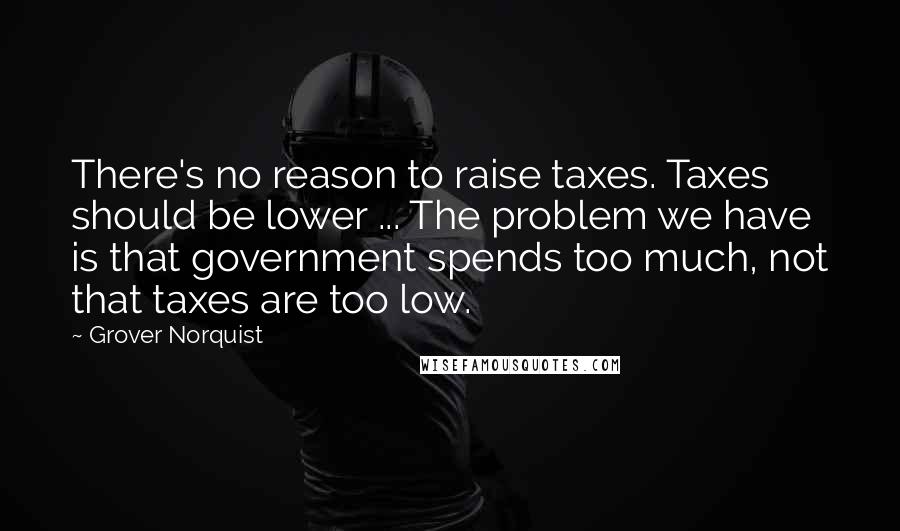 Grover Norquist Quotes: There's no reason to raise taxes. Taxes should be lower ... The problem we have is that government spends too much, not that taxes are too low.