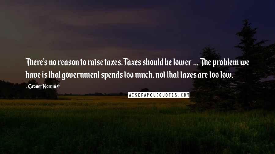 Grover Norquist Quotes: There's no reason to raise taxes. Taxes should be lower ... The problem we have is that government spends too much, not that taxes are too low.
